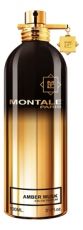 Парфюмерная вода MONTALE AMBER MUSK, 100ml