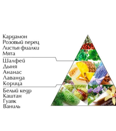 Гель-шампунь для тела и волос для мужчин "Символ"/"Symbol" 200 мл