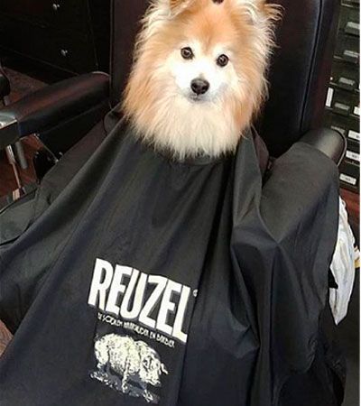 Пеньюар Reuzel черный с резиновым воротником Salon Super Cape