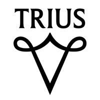 лого бренда