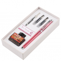 Набор WE-SHARE: перьевая ручка + сменные насадки + конвертер + чернила PIERRE CARDIN PCW-001-5