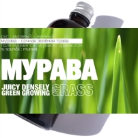 Лосьон после бритья Мурава, 100 мл