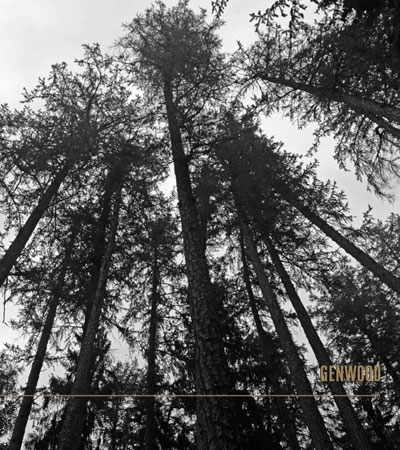 Крем ALPHA HOMME GENWOOD для рук, ESTEL PROFESSIONAL -100 мл