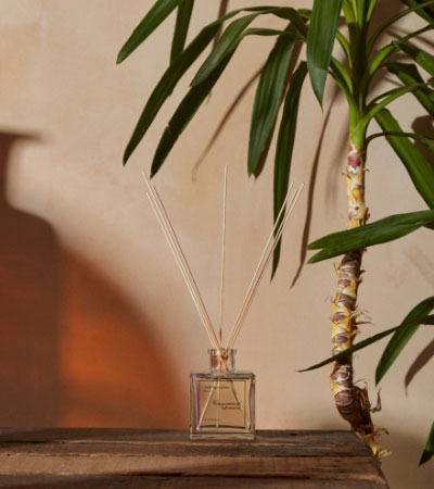 Аромадиффузор Лаб Фрагранс Сицилийский бергамот