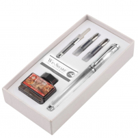 Набор WE-SHARE: перьевая ручка + сменные насадки + конвертер + чернила PIERRE CARDIN